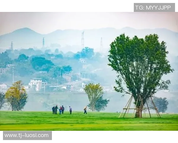 在顾全大局中寻求平衡与和谐的智慧与实践