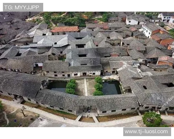 越南平定与同塔的历史交汇与文化碰撞探讨 越南平定与同塔的历史交汇与文化碰撞探讨