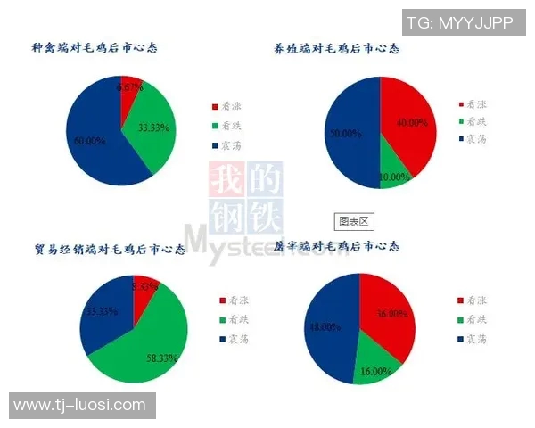 查内尔与安特卫普的较量分析与战术解读全面解析 查内尔与安特卫普的较量分析与战术解读全面解析