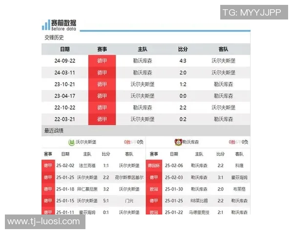 勒沃库森主场豪取三分战胜沃尔夫斯堡，积分榜上升
