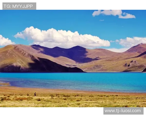 羊湖杯足球比赛精彩直播全程回顾与赛况分析尽在这里