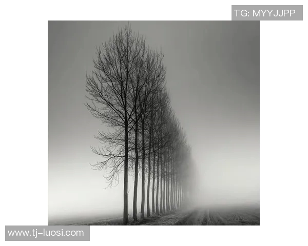 亚当斯的传奇人生与影响力探秘:从科学家到文化象征的跨越之旅