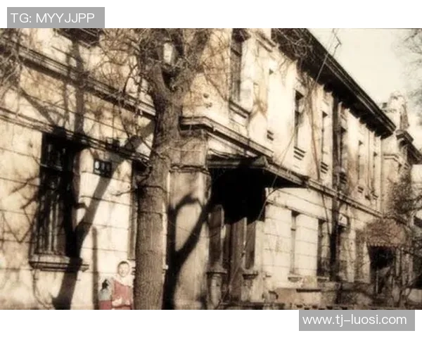 斯莫拉的魅力探秘:揭开这座城市的历史与文化面纱 斯莫拉的魅力探秘:揭开这座城市的历史与文化面纱