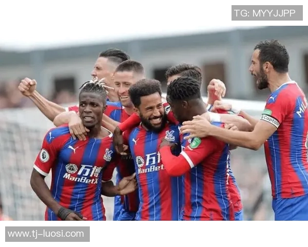 切尔西与埃弗顿英超1415赛季精彩对决回顾与分析