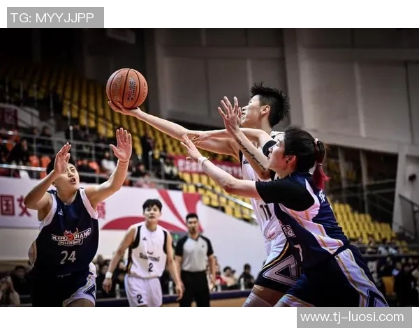 辽宁队与福建队常规赛精彩对决展现篮球魅力与团队精神
